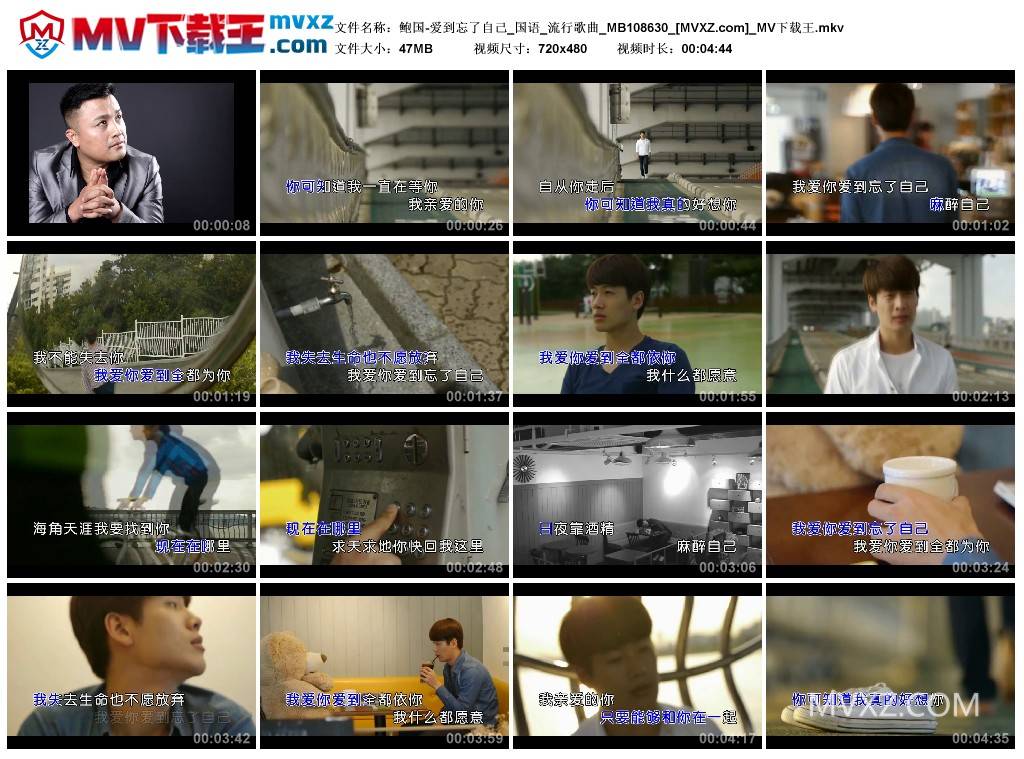 鲍国-爱到忘了自己_国语_流行歌曲_MB108630